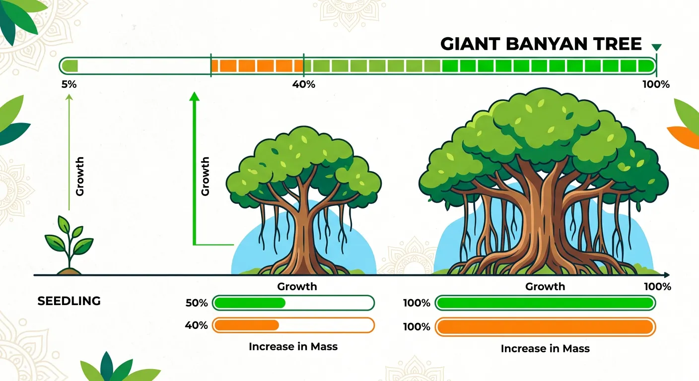 Diagram comparing internal biological growth in plants versus external accretion in mountains.