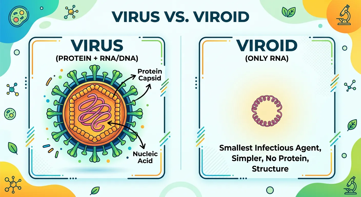Table comparing Virus vs Viroid features
